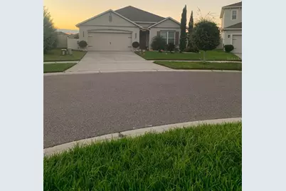 9029 Pyrus Street, Kissimmee, FL 34747 - Photo 1