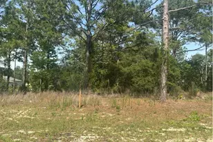 51 St Ct, Ocala, FL 34473 - Photo 1