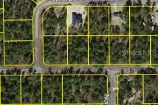 4150 W Dorchester Cir, Dunnellon, FL 34433 - Photo 1