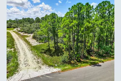 385 Jack Weisser Boulevard, Lake Placid, FL 33852 - Photo 1