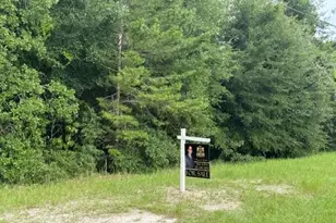 0 SW 132 Loop, Ocala, FL 34473 - Photo 1