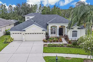 2919 Marble Crest Dr, Land O Lakes, FL 34638 - Photo 1