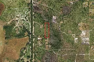 Holopaw Groves Rd, Saint Cloud, FL 34771 - Photo 1