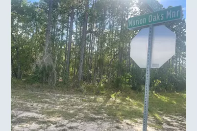 Tbd SW Marion Oaks Manor, Ocala, FL 34473 - Photo 1