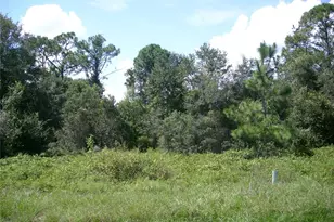 1343 Congo Ct, Kissimmee, FL 34759 - Photo 1