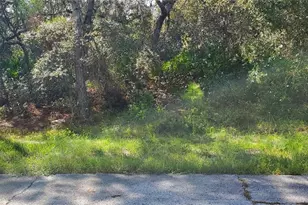 Marlin Dr, Poinciana, FL 34759 - Photo 1