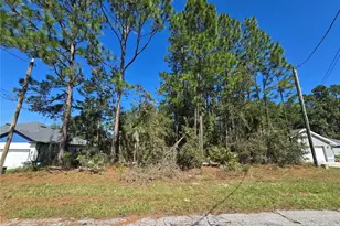 Lot 2 SW 138th St, Ocala, FL 34473 - Photo 1