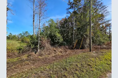 Luna Drive, Saint Cloud, FL 34773 - Photo 1