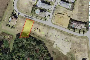 8029 Twin Eagles Loop, Reunion, FL 34747 - Photo 1
