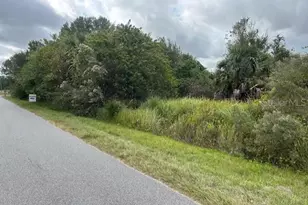 4310 Packard Ave, Saint Cloud, FL 34772 - Photo 1