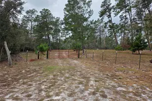 Cooter Pond Rd, Deland, FL 32720 - Photo 1