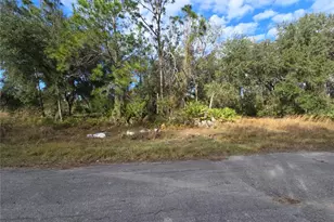 211 Starling Ct, Kissimmee, FL 34759 - Photo 1