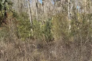 18 St, Ocala, FL 34481 - Photo 1