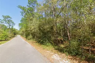 X, Defuniak Springs, FL 32435 - Photo 1