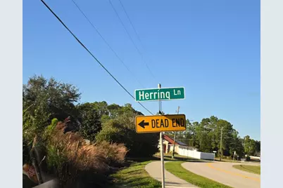103 Herring Lane, Kissimmee, FL 34759 - Photo 1