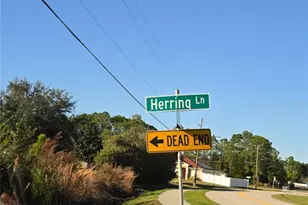 103 Herring Ln, Kissimmee, FL 34759 - Photo 1