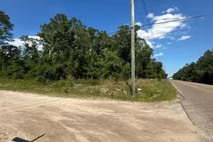 5230 Cedar Ford Blvd, Hastings, FL 32145 - Photo 1