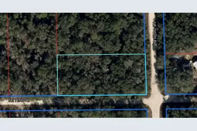 Ne 110th Avenue, Bronson, FL 32621 - Photo 1