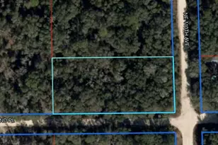 NE 110th Ave, Bronson, FL 32621 - Photo 1