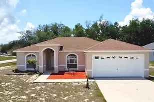 310 Kingfish Dr, Kissimmee, FL 34759 - Photo 1