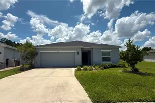 3992 Fescue St, Clermont, FL 34714 - Photo 1