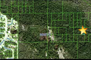 Tbd Unincorporated Poinciana, Poinciana, FL 34759 - Photo 1