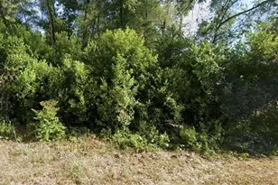6315 E Rector St, Inverness, FL 34452 - Photo 1