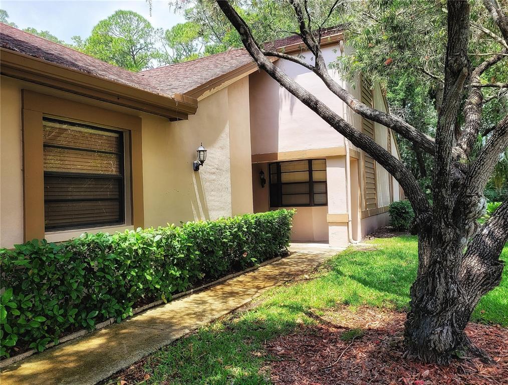 3985 Mermoor Dr, Palm Harbor, FL 34685 MLS T3377210 Coldwell Banker