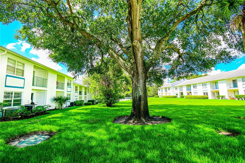 5035 Bordeaux Village Pl 101, Tampa, FL 33617 MLS T3421787