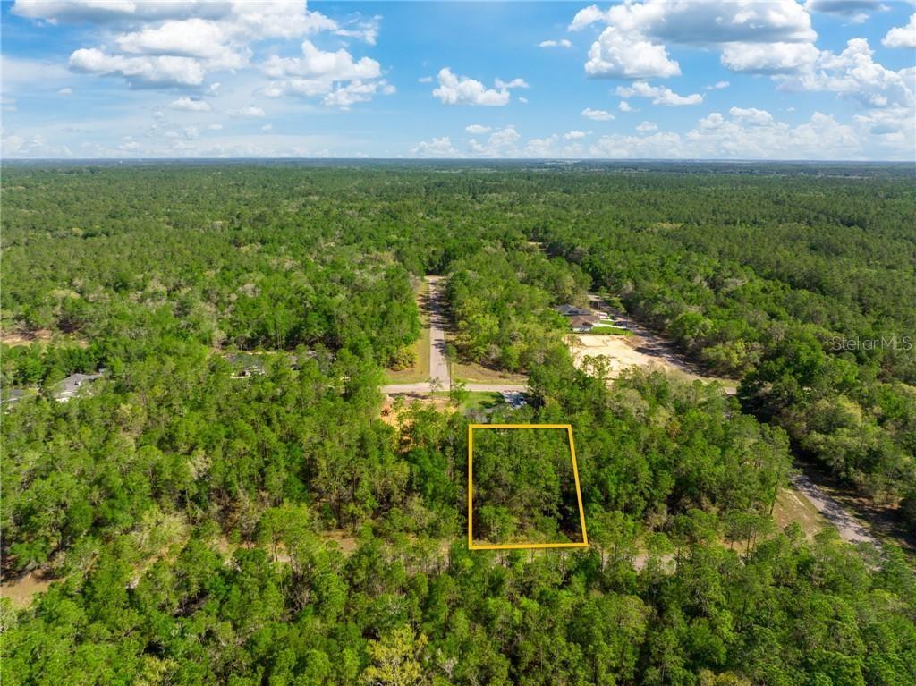 173 E Simms Ln, Citrus Springs, FL 34434 MLS T3438579 Coldwell Banker