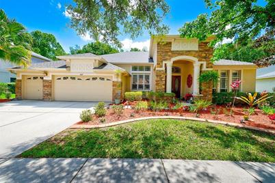 6627 Thornton Palms Drive, Tampa, FL 33647 - Photo 1