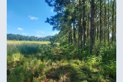 County Line Road, Plant City, FL 33567 - Photo 1