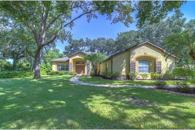 4202 Misty Grove Court, Brandon, FL 33511 - Photo 1