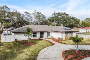 1 Fernery Ln, Safety Harbor, FL 34695 - Photo 1