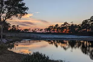 405 Stacy Grove Rd, Oak Hill, FL 32759 - Photo 1