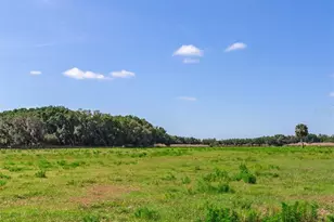 419 Jameson Rd, Lithia, FL 33547 - Photo 1