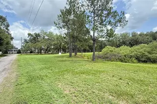 29956 New Dutch Ln, Wesley Chapel, FL 33545 - Photo 1