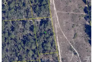 0 Sunshine Grove Rd, Brooksville, FL 34614 - Photo 1