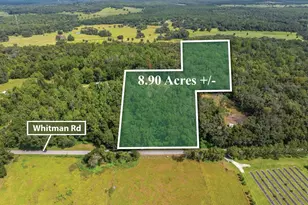 Whitman Rd, Brooksville, FL 34601 - Photo 1