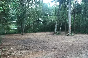 SW 35th Dr, Webster, FL 33597 - Photo 1