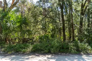 NE 358th Ave, Old Town, FL 32680 - Photo 1