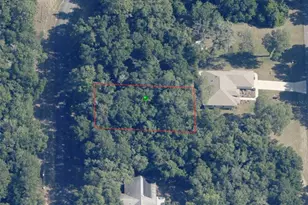 1194 W Virginis Dr, Citrus Springs, FL 34434 - Photo 1