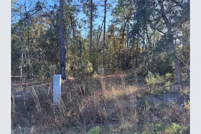 Tbt SW 91st Ln, Dunnellon, FL 34432 - Photo 1