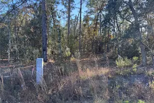 Tbt SW 91st Ln, Dunnellon, FL 34432 - Photo 1