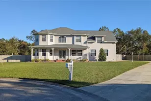 11305 Sweet Bay Ct, Riverview, FL 33569 - Photo 1