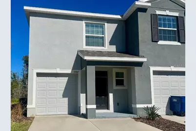 32847 Pez Landing Lane, Wesley Chapel, FL 33543 - Photo 1