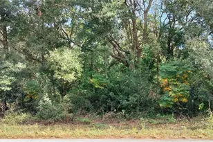 973 N Maynard Ave, Lecanto, FL 34461 - Photo 1