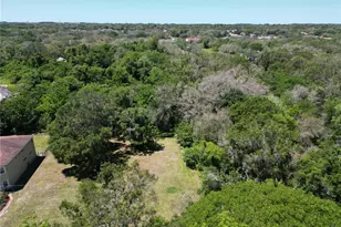 Elm St, Safety Harbor, FL 34695 - Photo 1