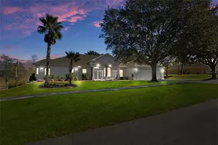 456 Diamond Dr, Spring Hill, FL 34609 - Photo 1