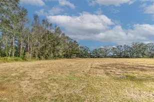 4306 Turkey Creek Rd, Plant City, FL 33567 - Photo 1